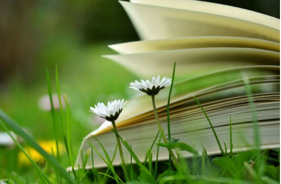 人為什么要讀書？這16句話，是最好的回答